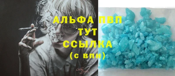 крисы Богданович