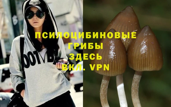 крисы Богданович