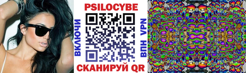 Галлюциногенные грибы Cubensis  Купить  Аркадак 